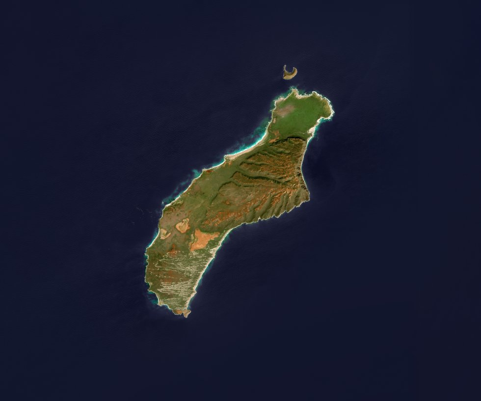 (Niihau Island)